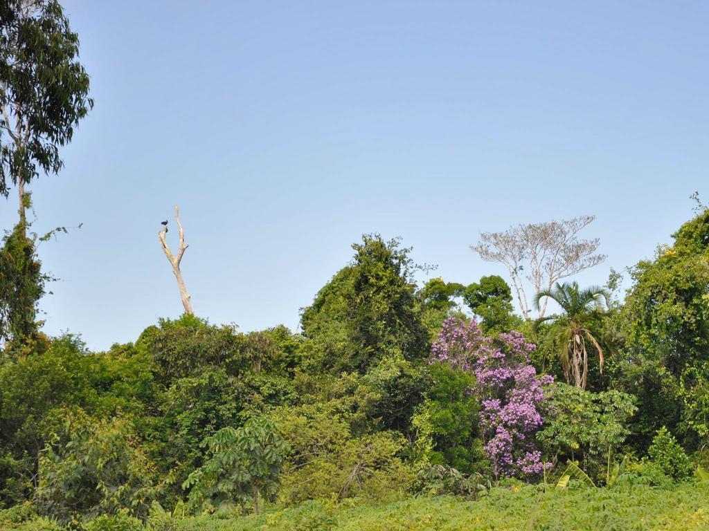 Village Mata Encantada Santo André Buitenkant foto